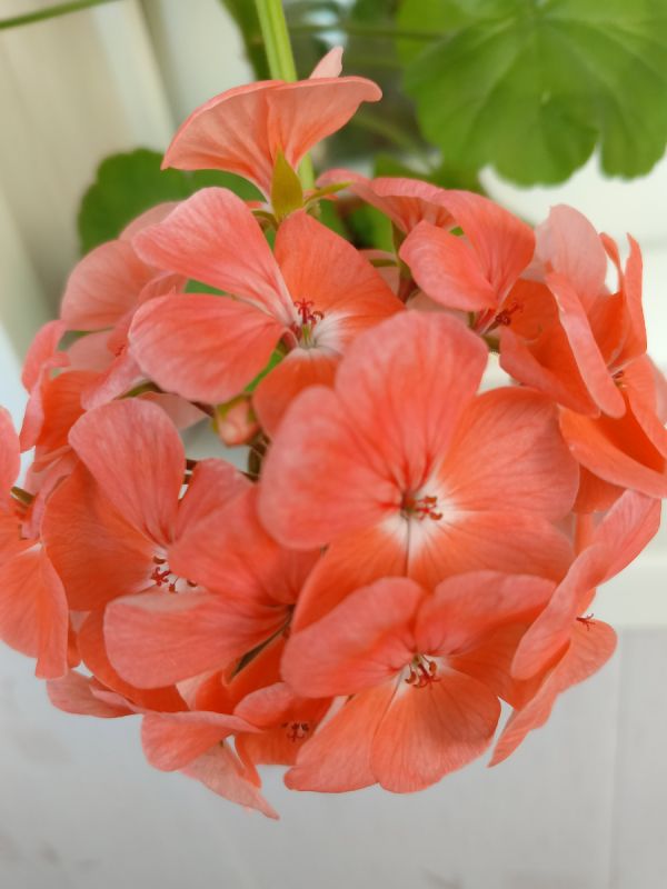 Почему экономия не всегда оправдана: когда разумнее потратить немного больше