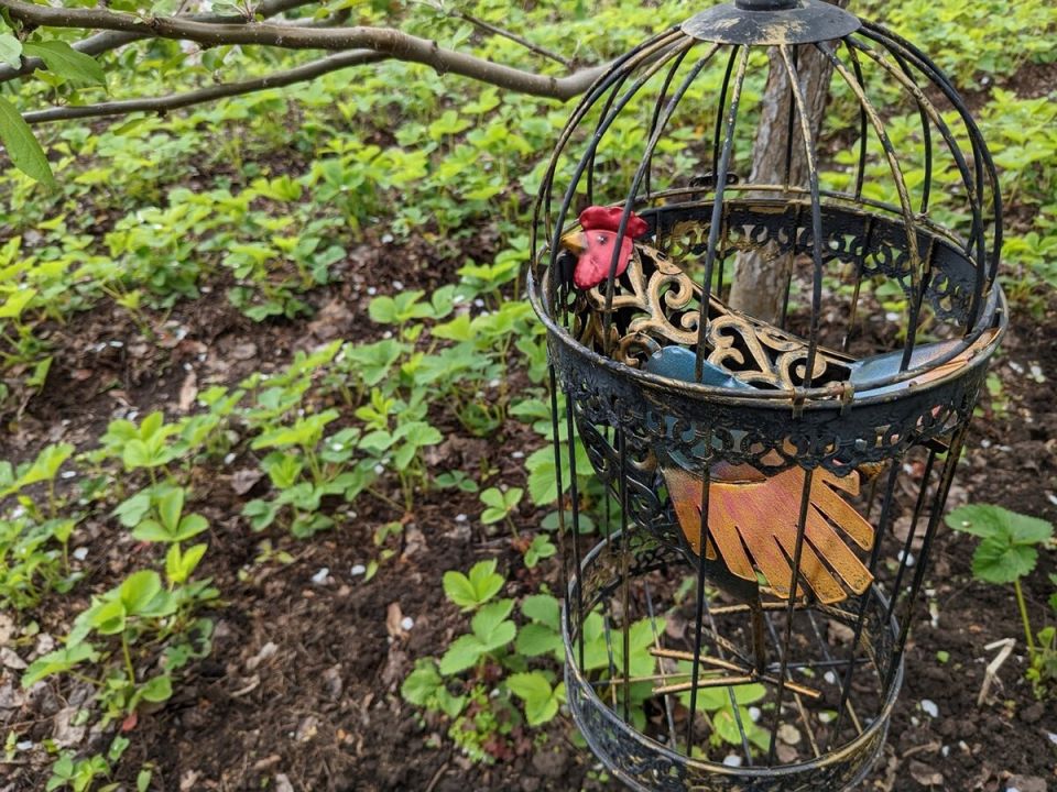 Кто действительно счастлив: дачники или городские жители?