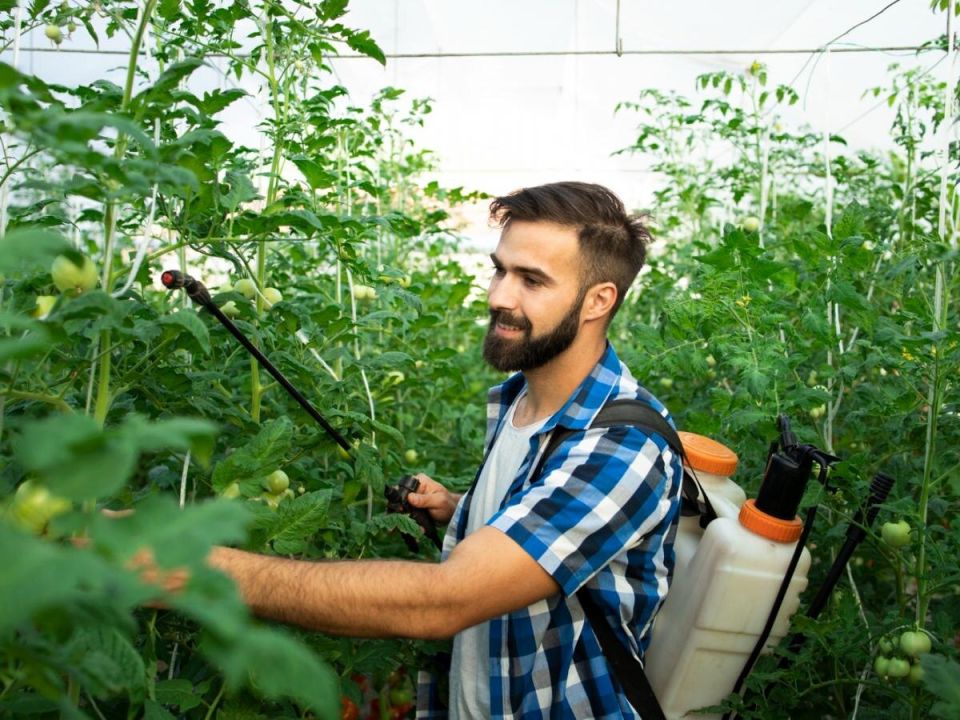 Осенние секреты ухода за садом