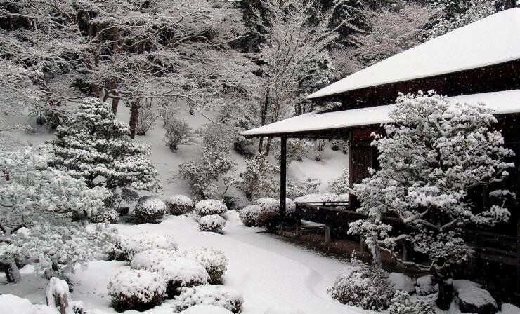 Подготовка к садоводческому сезону: важные мероприятия с 21 по 27 декабря