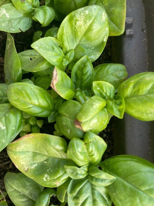 �������� � ���������: ��� ����������?