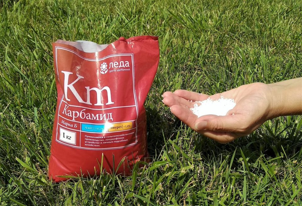 ��������: ������� ����������� ��������� ��� ������ ����