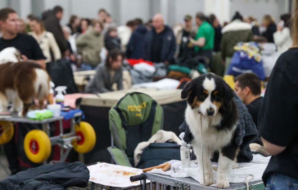 � ������� ���������� ����� ������� ���������� �������� ��������