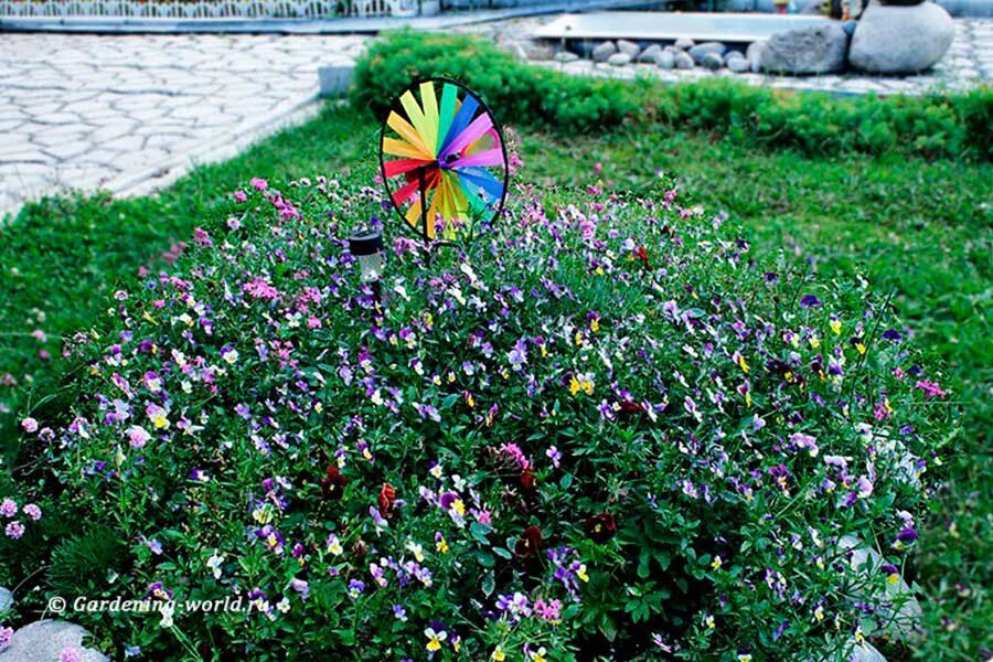 Как создать идеальный цветник без забот: простые советы для дачников