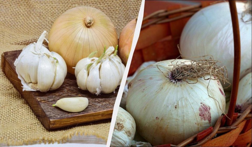 ������� ������� �������� ���� � �������: ��� ��������� �������� ��� ������������