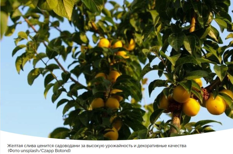 ������� �������: 9 ���������� ������ ������ ����� ��� ������ ����