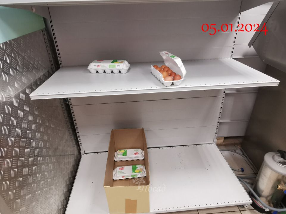 Почему исчезли яйца с прилавков? Разбираемся в трех главных причинах