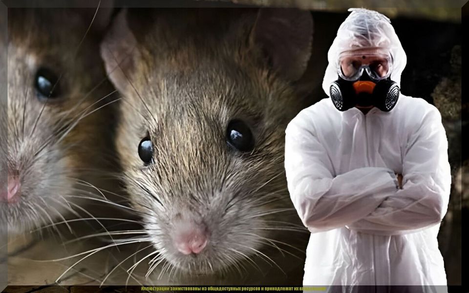 ��� �������� ������ ����� �� ��������