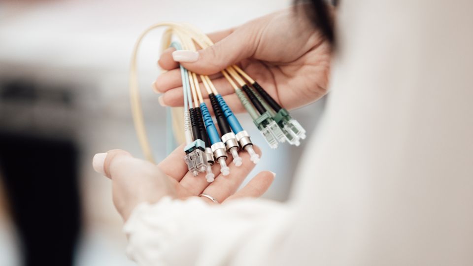 � ������ ������ ������� ��� ������ �� ��������: �������� ���� �� ������������� ��������