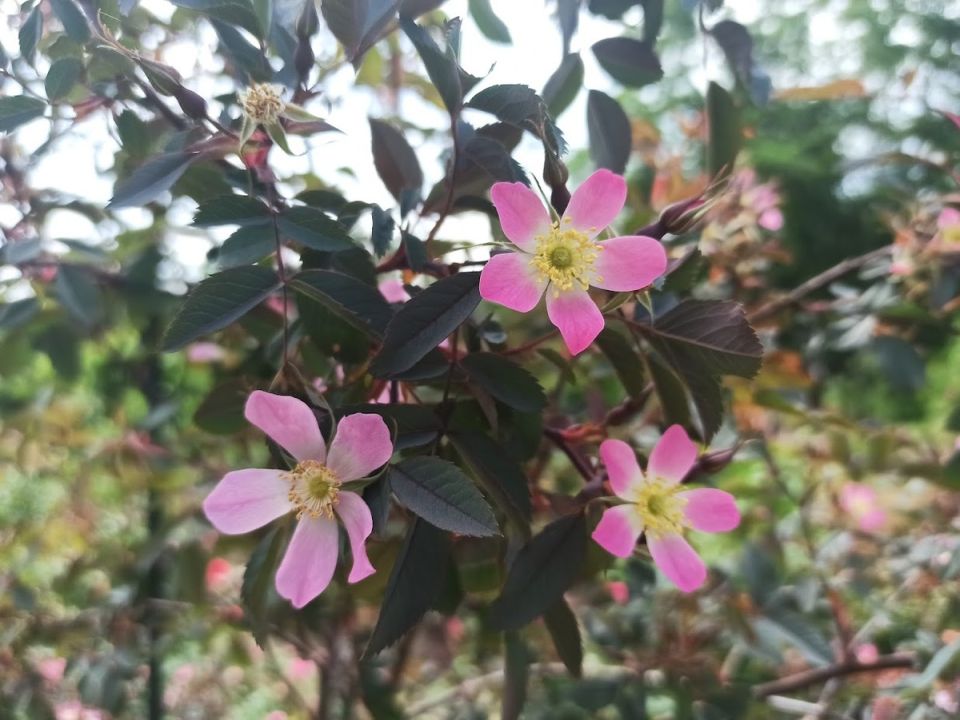 ���� ������: ���������� ������� � ��������������� ��� ������ ����