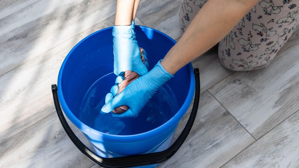 ������ ���� �� ������ ����� � ��� �������� �������: ����� �����, ���������� �����, ���� � ����