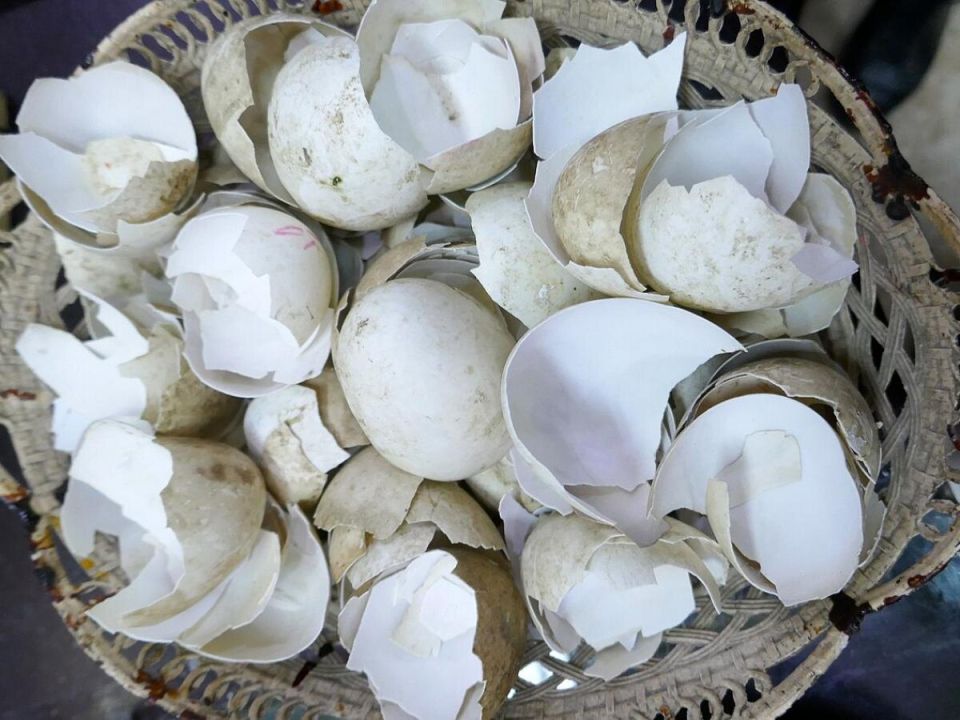 ������������ ���������: ������ �������� � ����� ��� ������� ����� � ����� ����