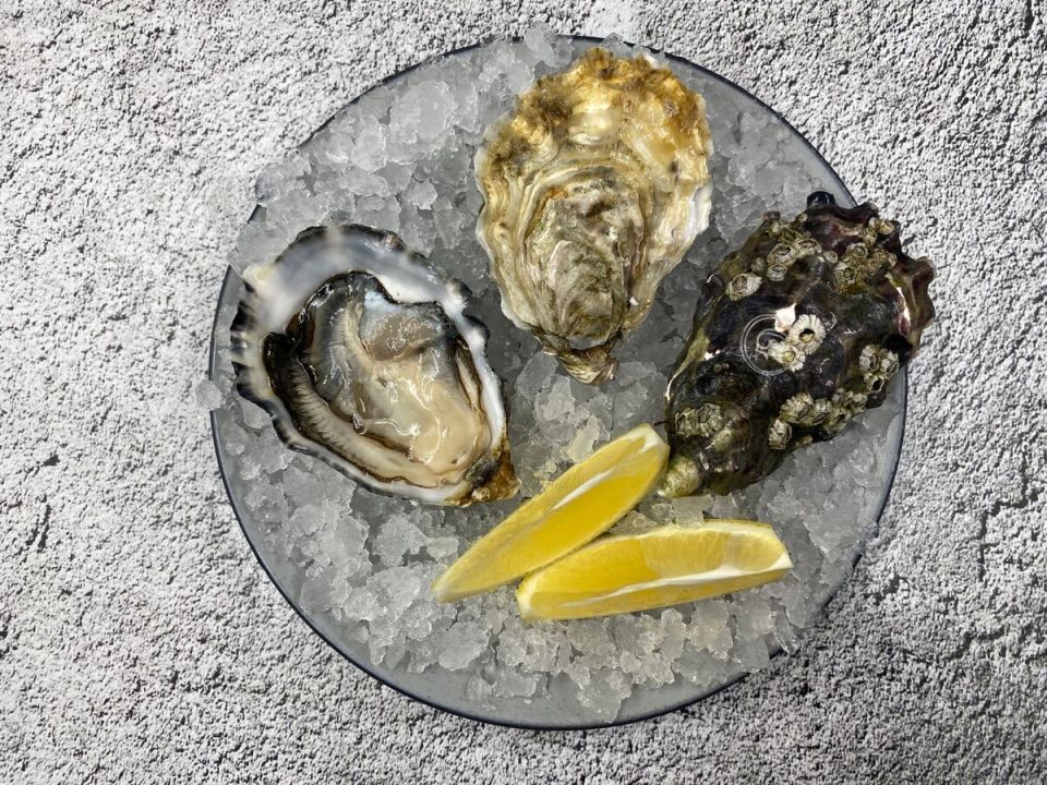 ������� Sp?ciale de Claire G: ��������� ����� ��� ��������� ������� �����������