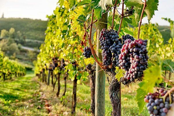 ����� ������ �� ������������ ���� ���������: ����� ������� �������� ����������?