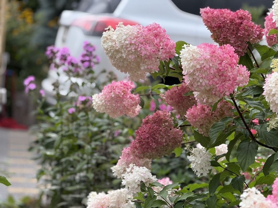 ��������� � ������: ����������� ������ � ����������� �������