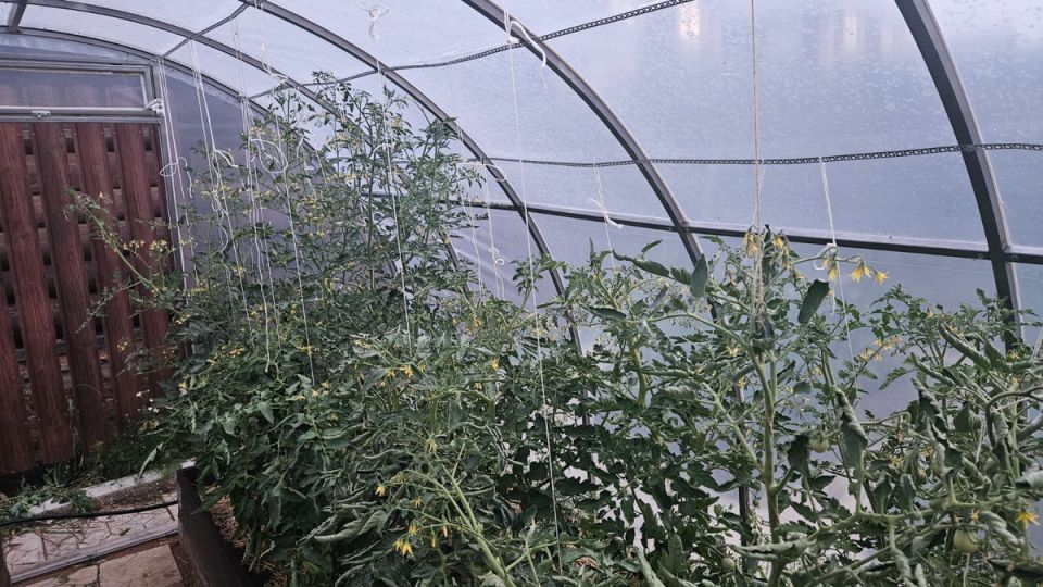 ��� ������������� �������� � �������� � ������ ����: ��������� ����� ��� ��������