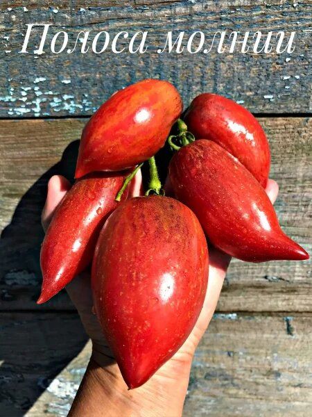 ����� ������� ������: ��������� ��������� ���������� ����������������� � ������������� �����