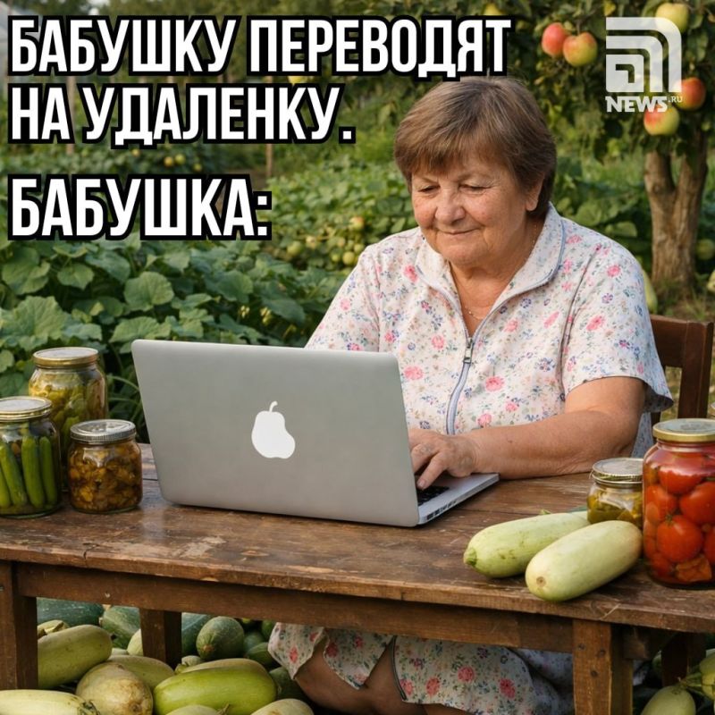 новая инициатива: пенсионерам предложат работать из дома