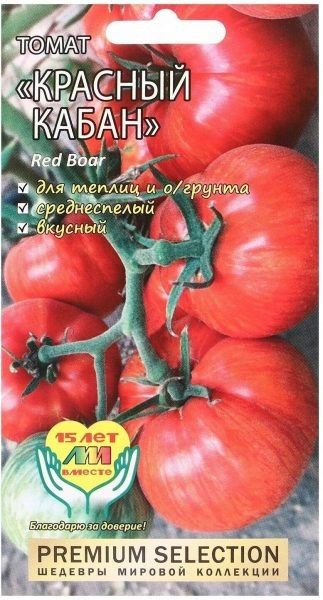 ����� ������� �����: ������� ������ � ����� �������