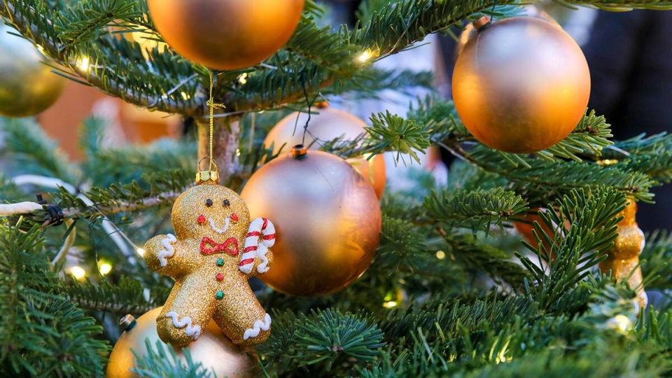 Штрафы за новогодний шум: что нужно знать россиянам в 2026 году