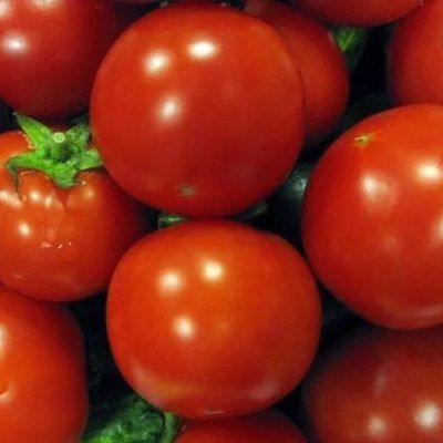 ����������-�������: ������� ������� ��� ������� ������ � ��������� ������