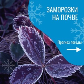       - ѻ     