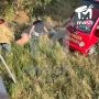 Лев, предположительно, напал на директора сафари-парка "Тайган" во время кормёжки, пишет Mash