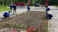 На смену тюльпанам в Марий парке пришли однолетники