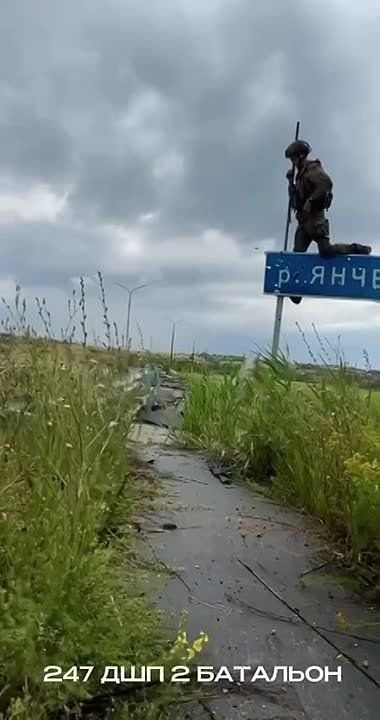  2  247  -           ..   