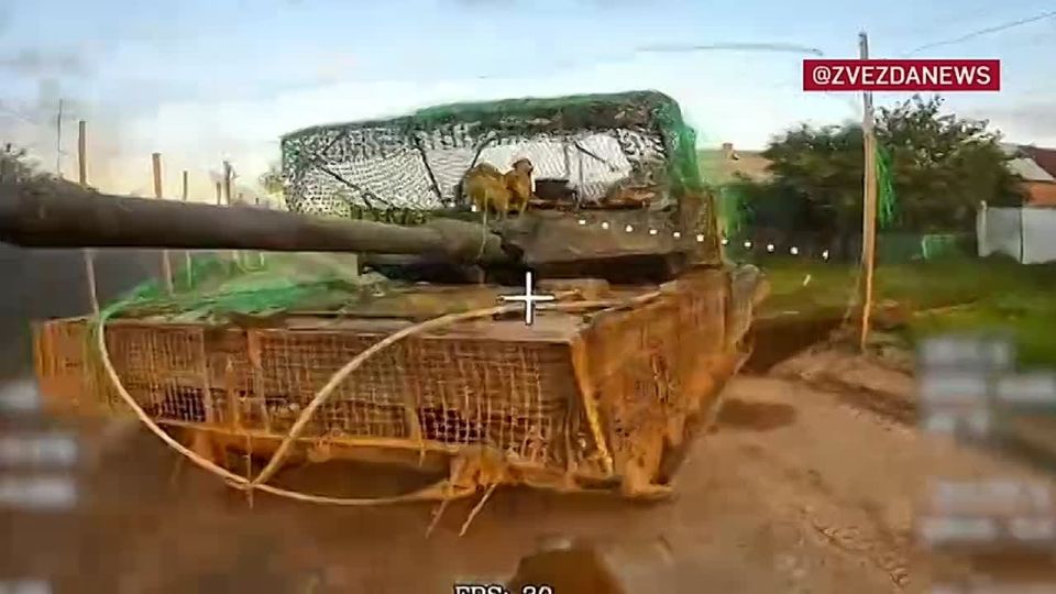    Leopard 2A6     