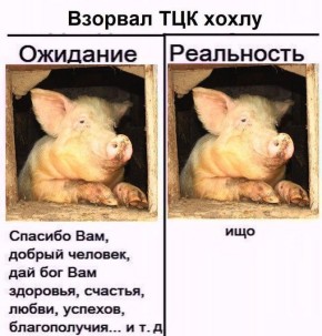    . # @otryadkovpaka       