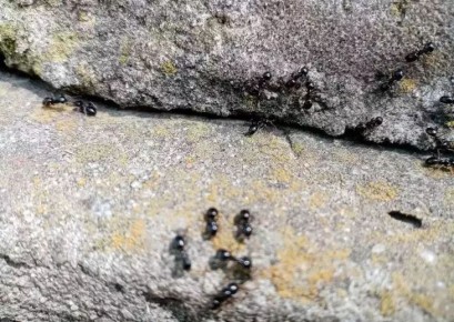       : 3  ,     