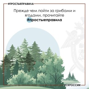 Региональное следственное управление предупреждает: соблюдайте меры безопасности при сборе грибов и ягод