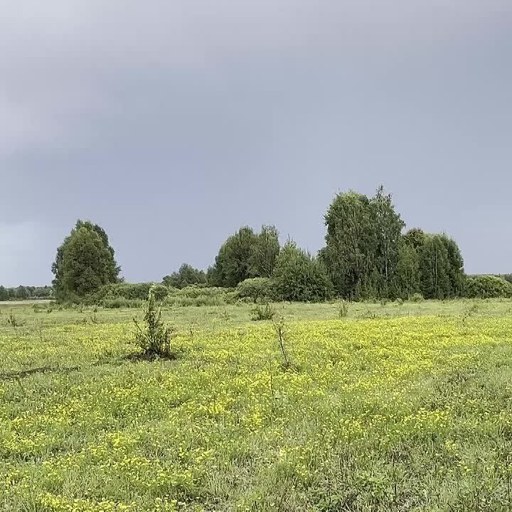  :    