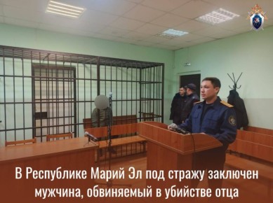 В Республике Марий Эл под стражу заключен мужчина, обвиняемый в убийстве отца