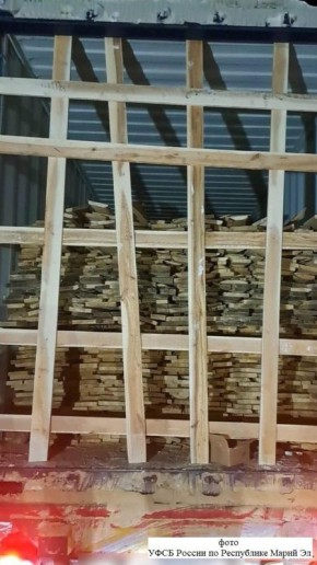 Сотрудники УФСБ по Марий Эл и Нижегородской области выявили причастность жительницы Йошкар-Олы к незаконной перевозке через границу ЕАЭС леса в крупном размере