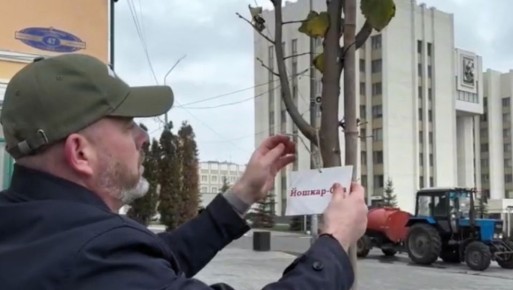 На аллее городов Поволжья в Саранске посадили дерево в честь Йошкар-Олы