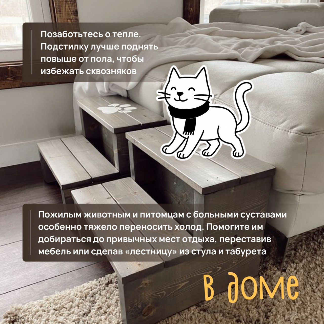 Любите кошек, но не знаете, как помочь им пережить зиму с комфортом? Любите кошек, но не знаете, как помочь им пережить зиму с комфортом?