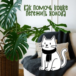 Любите кошек, но не знаете, как помочь им пережить зиму с комфортом?