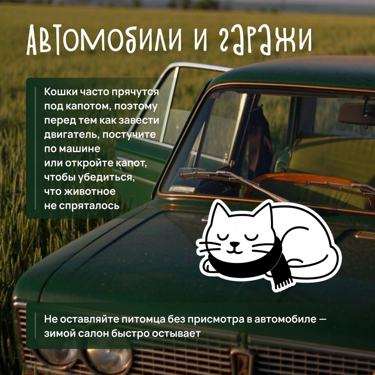 Любите кошек, но не знаете, как помочь им пережить зиму с комфортом? Любите кошек, но не знаете, как помочь им пережить зиму с комфортом?