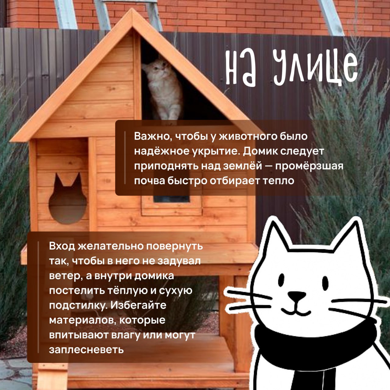 Любите кошек, но не знаете, как помочь им пережить зиму с комфортом? Любите кошек, но не знаете, как помочь им пережить зиму с комфортом?