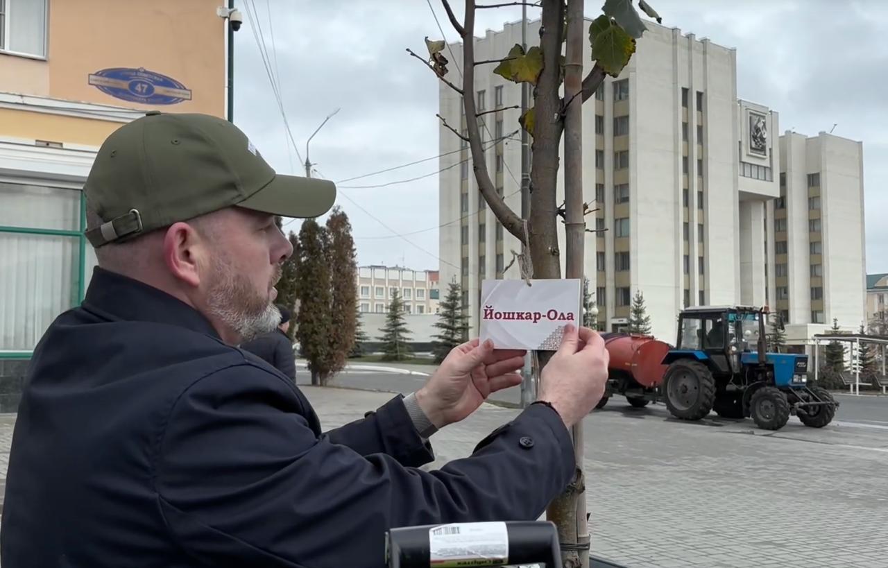 В Саранске участники Ассоциации городов Поволжья высадили аллею лип, среди которых появилось символичное дерево, посвящённое Йошкар-Оле