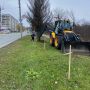 Осень – время сажать будущее!