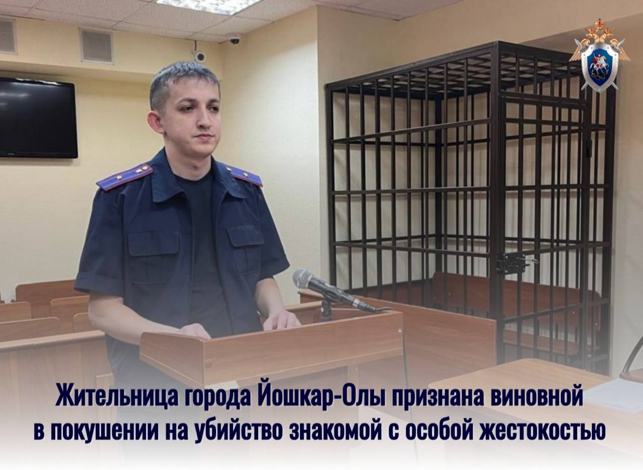 Жительница города Йошкар-Олы признана виновной в покушении на убийство знакомой с особой жестокостью