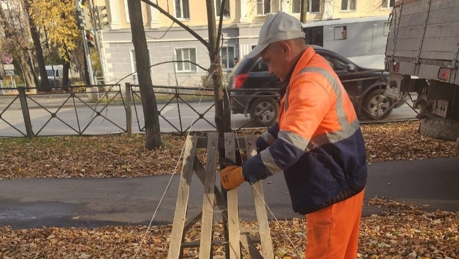 В Йошкар-Оле готовят саженцы к зиме