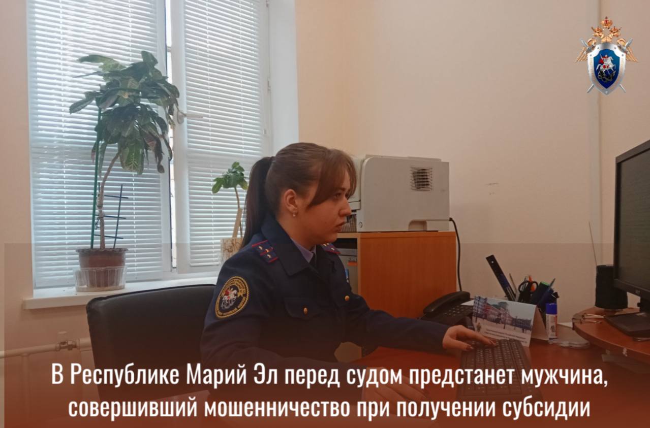 В Республике Марий Эл перед судом предстанет мужчина, совершивший мошенничество при получении субсидии