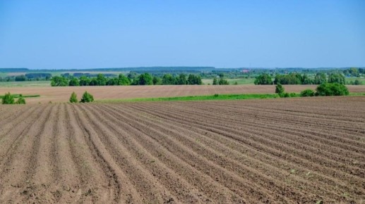 В Марий Эл близится к завершению уборочная кампания