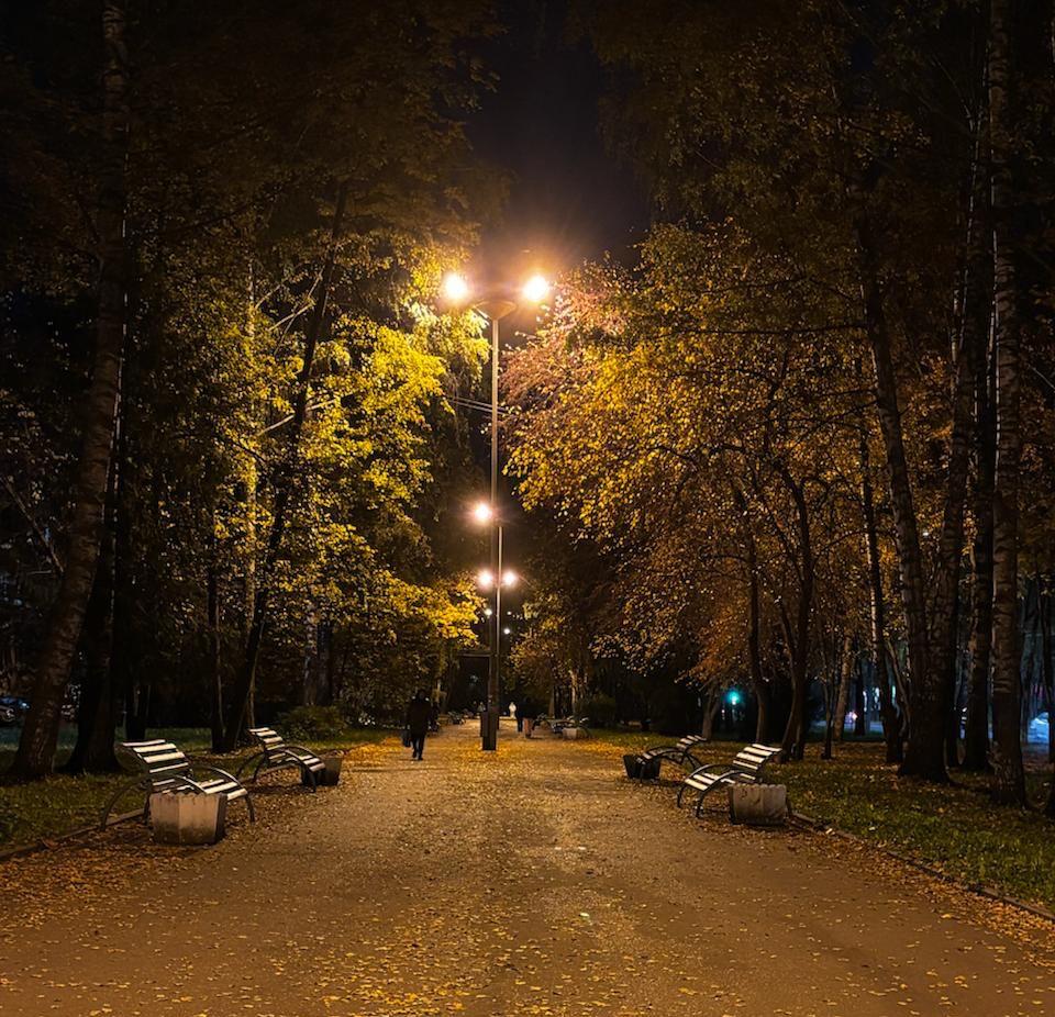 В Марий Эл значительно ужесточили ответственность за нарушение правил благоустройства