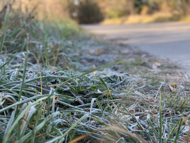 В предстоящие выходные в Марий Эл сначала похолодает до -1 градуса ночью, а потом потеплеет до +6 днем