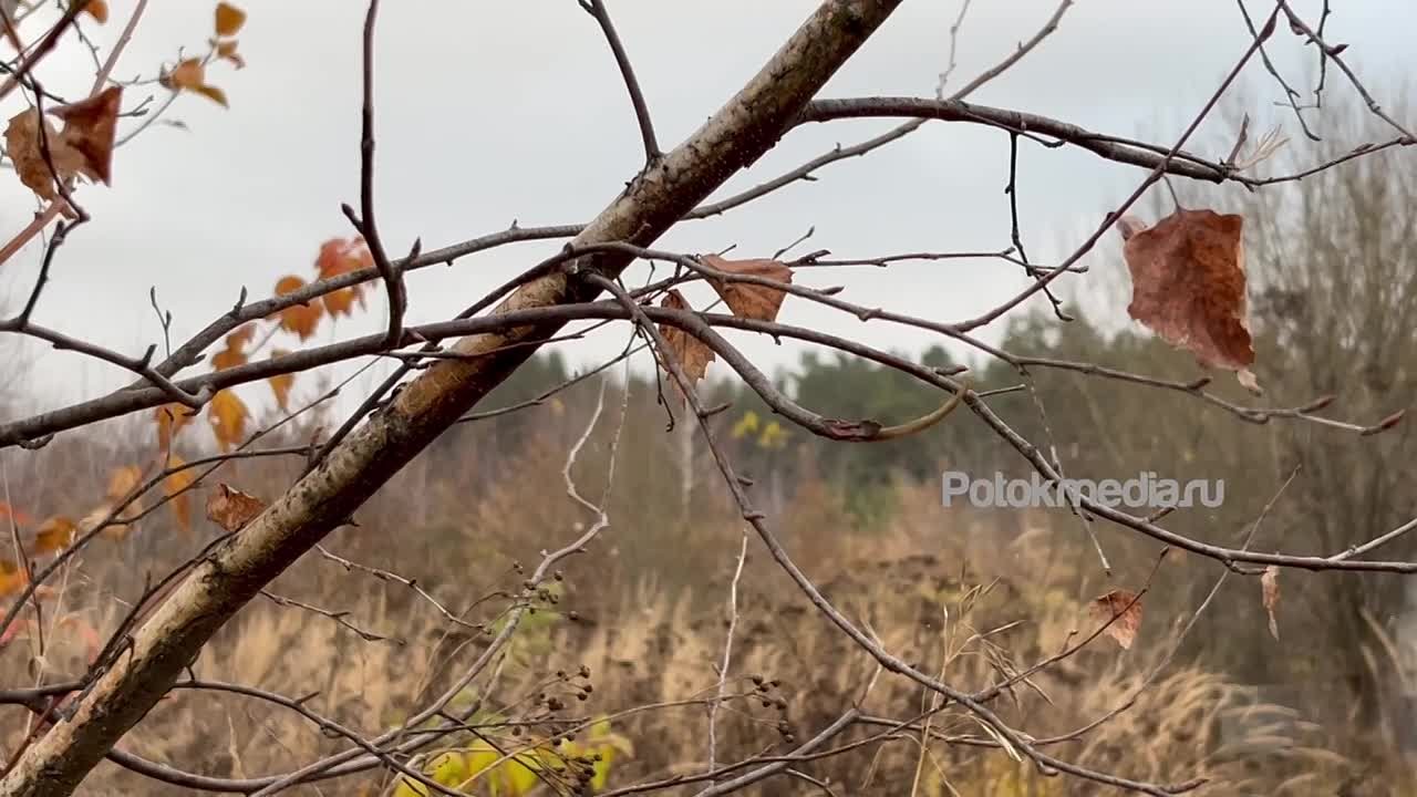 Небольшой снег в Марий Эл